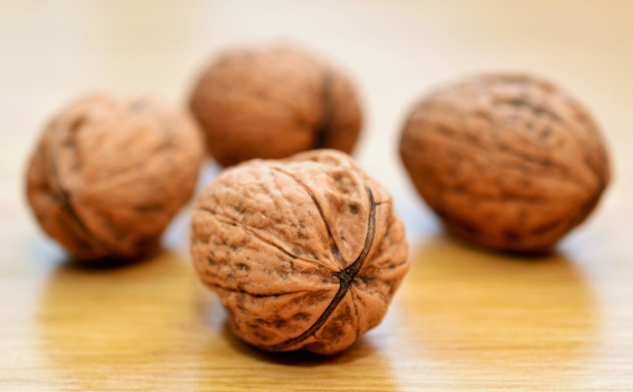 California Walnuts: How to Start and Finance Your Own Walnut Business
