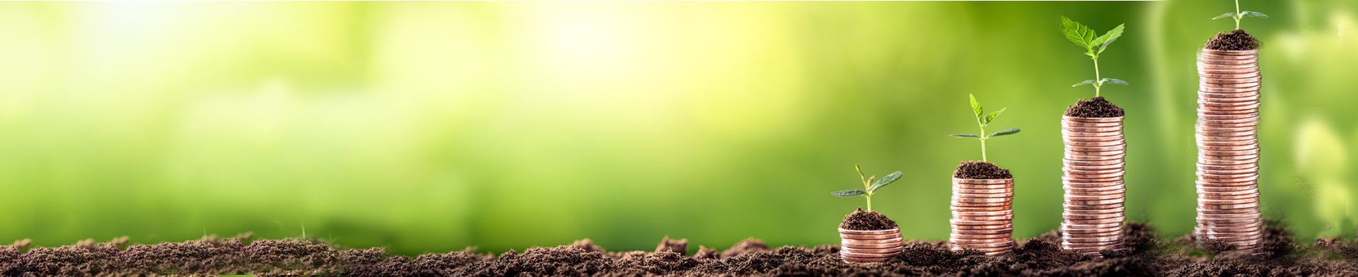 coin stacks with green shoots 